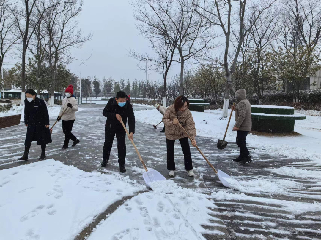 襄阳市图书馆开展“扫雪除冰  温暖读者”志愿服务活动