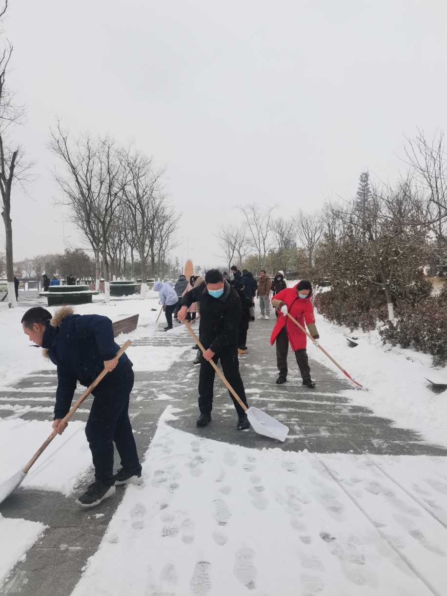 襄阳市图书馆开展“扫雪除冰  温暖读者”志愿服务活动
