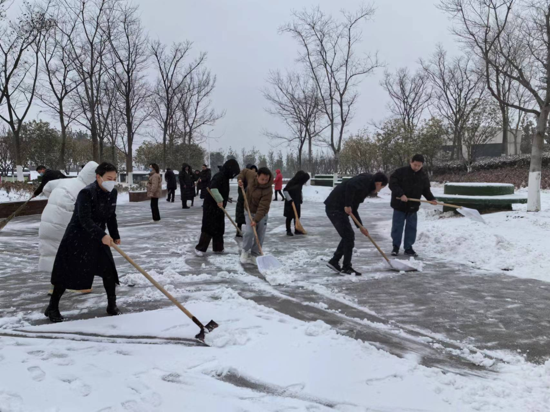 襄阳市图书馆开展“扫雪除冰  温暖读者”志愿服务活动