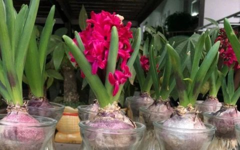 闲话高校图书馆工作的价值