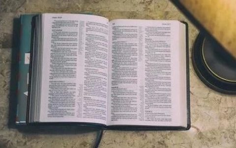 《打开心智》：一本足以改变你人生现状的书，建议阅读100遍！