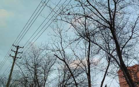 一个人最好的状态：工作养家，业余养心