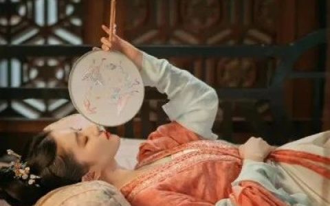 这本历史书实在太有意思了，记录了一个朝代的辉煌与悲情！