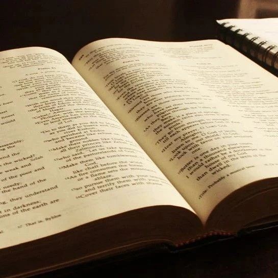 假如文笔太差，推书网推荐你请狠狠读这5本书！