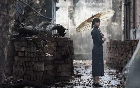 《生死场》这本近代文学洛神的经典小说，写透乱世悲歌