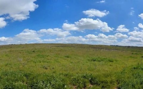 张甲：关于图书馆、教育、学习的思考