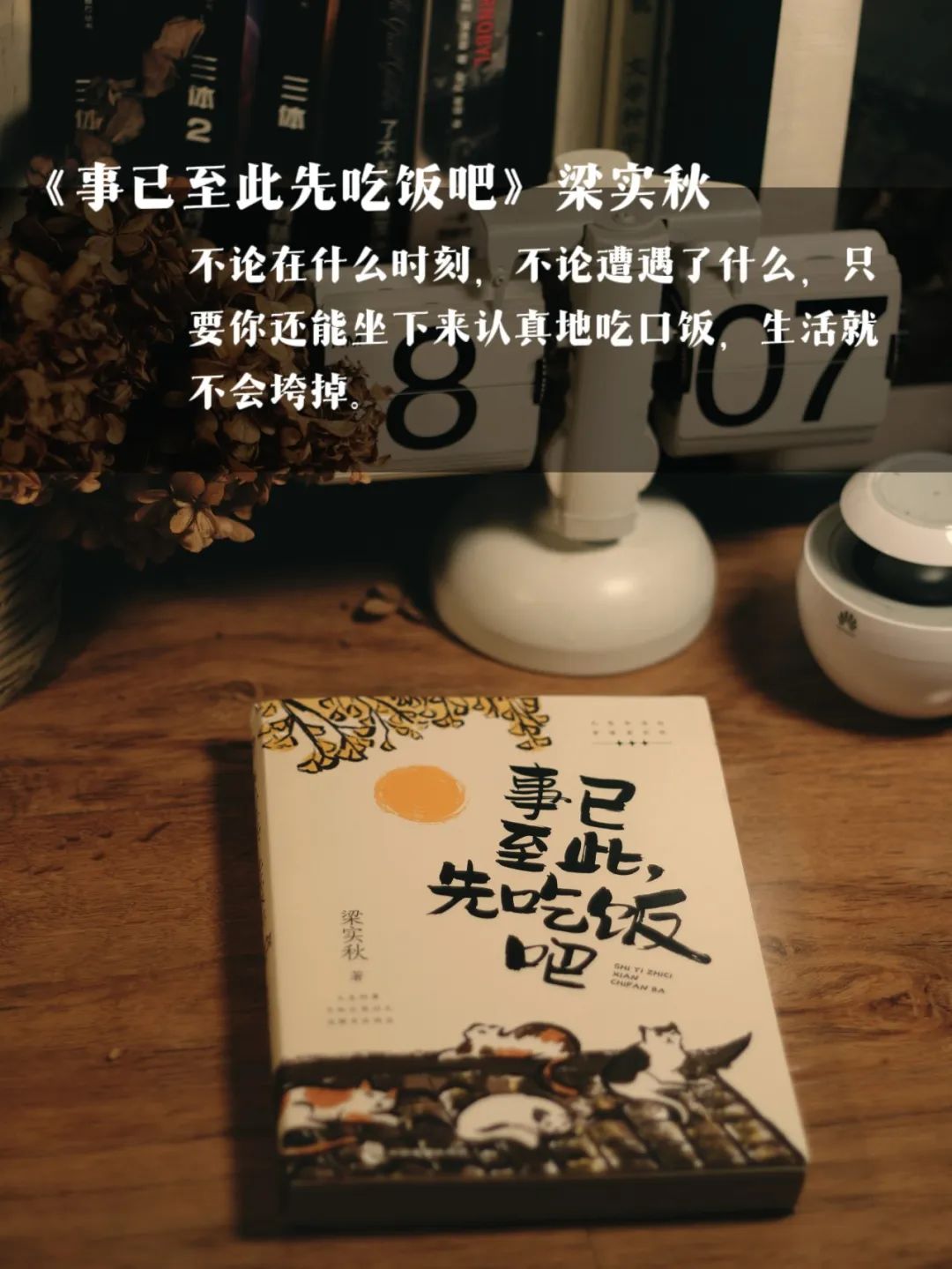 远离精神内耗书单:三餐四季十本书,便是人间小美好