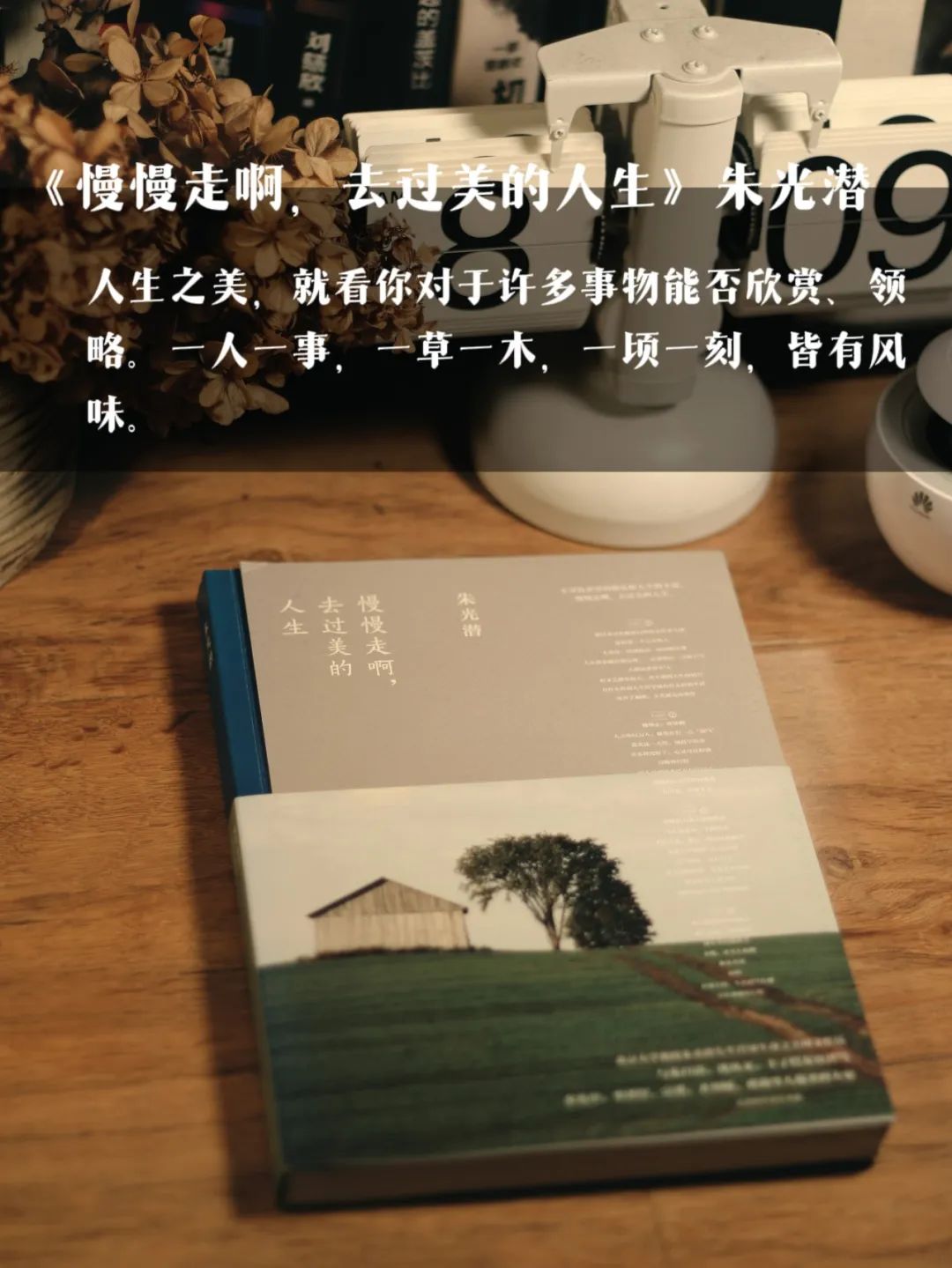 远离精神内耗书单:三餐四季十本书,便是人间小美好