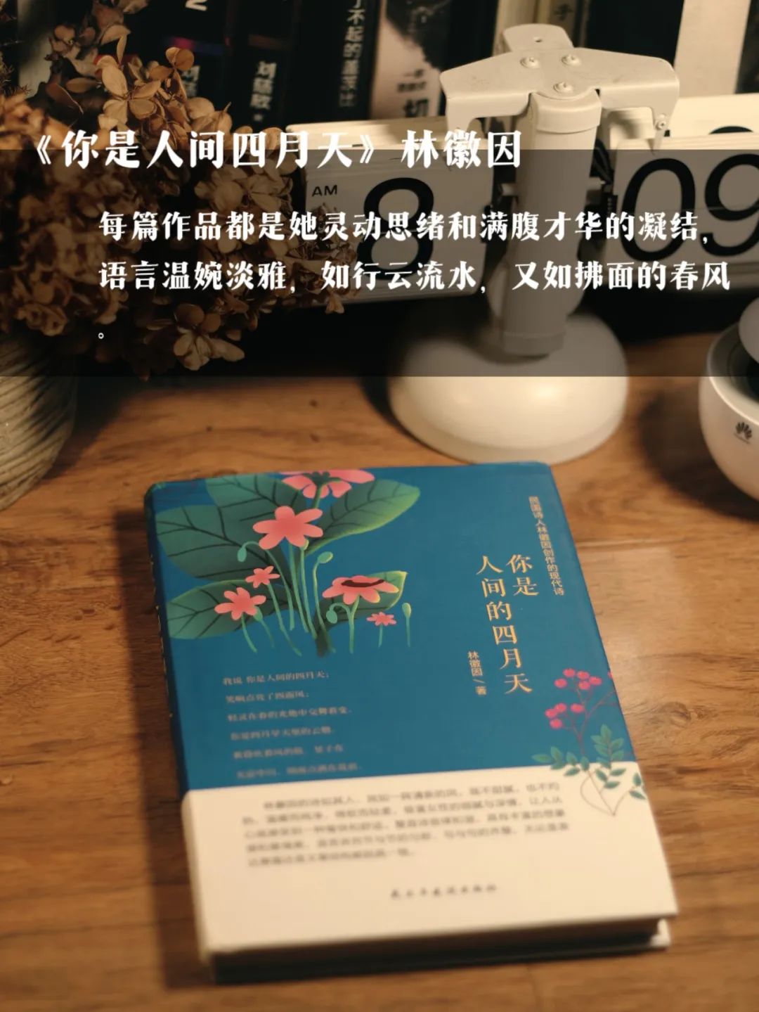 远离精神内耗书单:三餐四季十本书,便是人间小美好