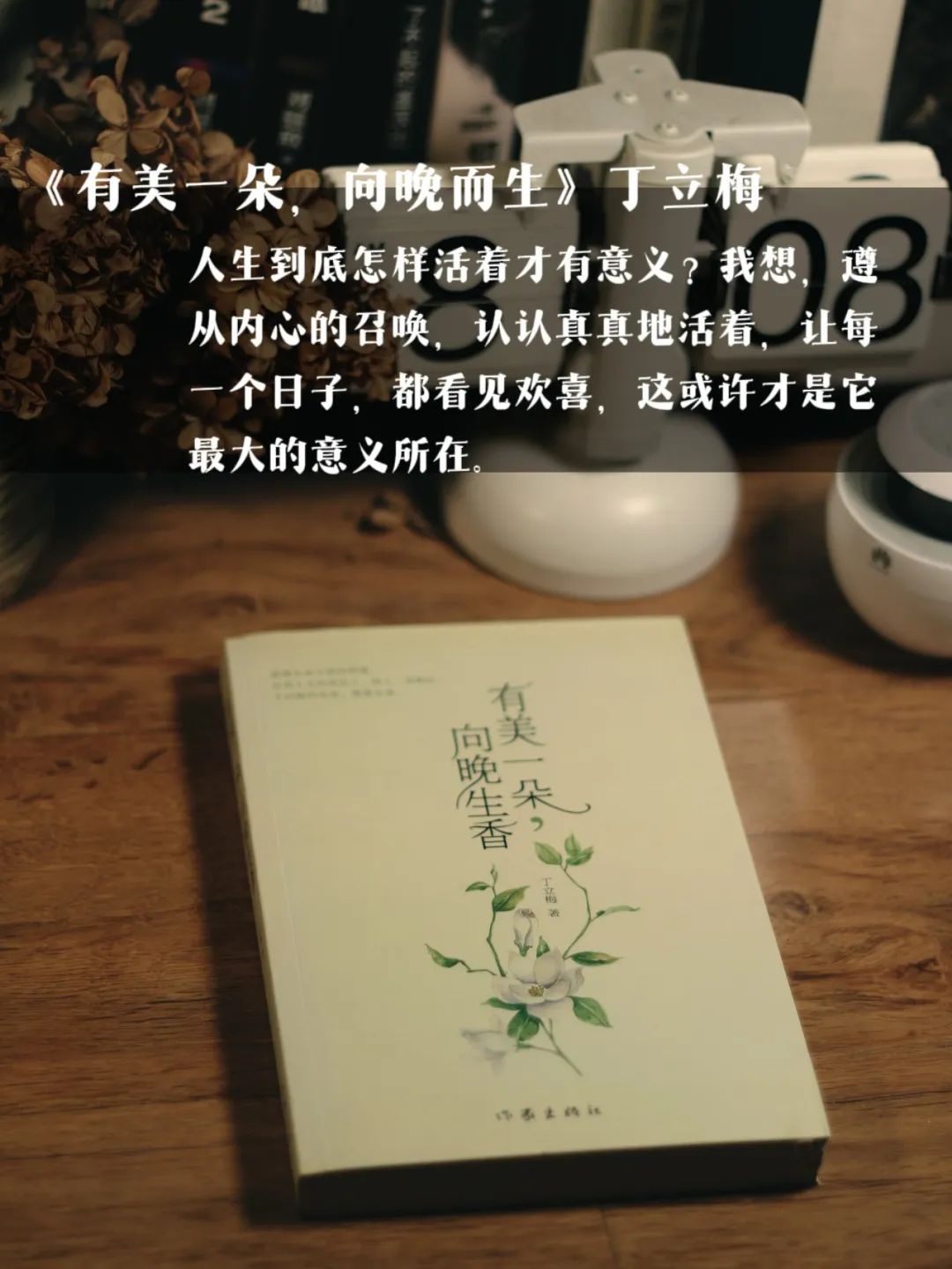 远离精神内耗书单:三餐四季十本书,便是人间小美好