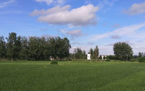 对于现行法律和药品规格的三条建议