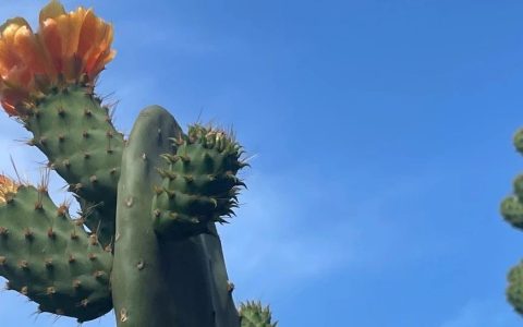 图书馆员难忘的一天