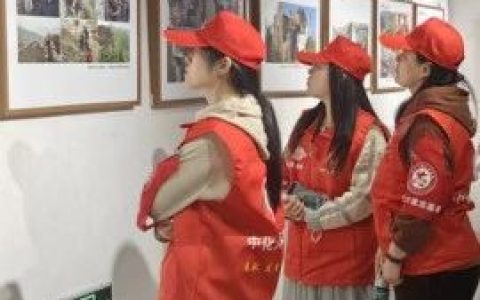 春风十里，不如“雷锋”在图书馆里：襄阳市图书馆志愿者追“锋”记