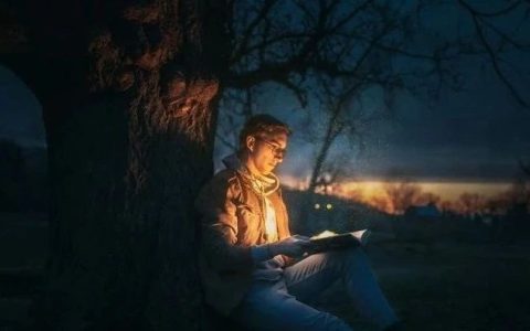 推书网推荐5本适合个人深夜静读的书籍！