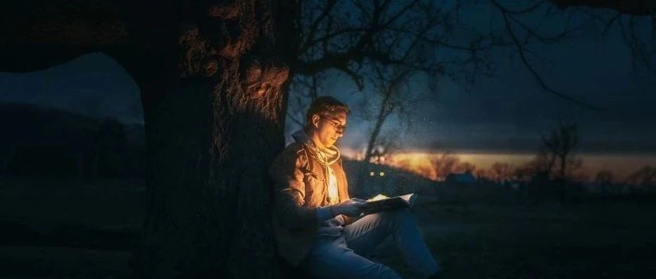 推书网推荐5本适合个人深夜静读的书籍！