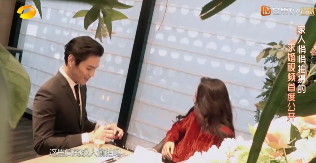 郭碧婷向佐：一对夫妻两种笨