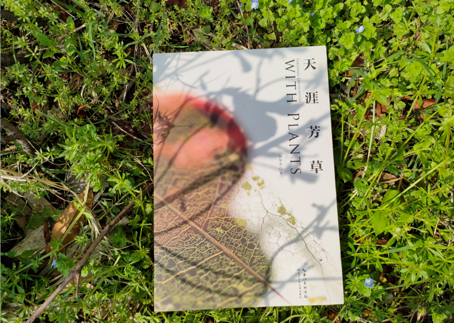 推书网新书推荐《天涯芳草》:博物学者刘华杰与植物的故事