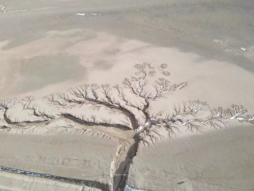 美国图书馆协会(ALA)、美国研究型图书馆协会(ARL)、大学与研究型图书馆协会(ACRL)简介