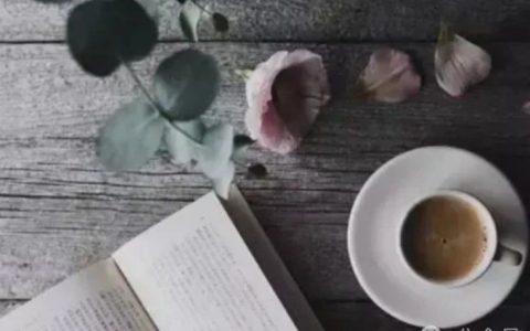 豆瓣评分8.8，《心 —— 一生的嘱托》这本书句句都在讲人性