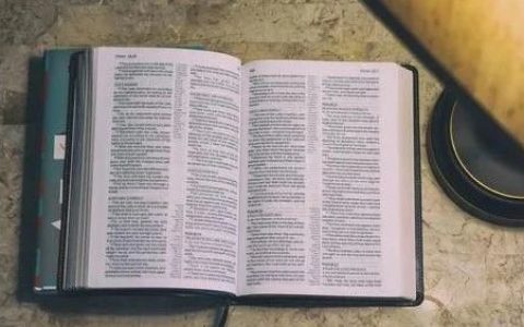 《超越感觉：批判性思考指南》如何高效筛选有用信息，请翻烂这本书！