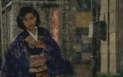 《春鸟：国木田独步作品集》我一直无法参透人生，而那远大的志向又重压着我！