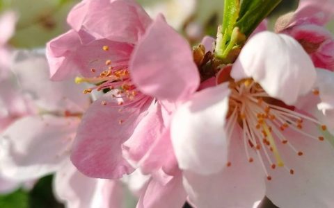 我的书写是本能驱使：渴望阳光明媚地活着