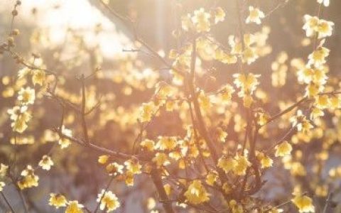 竹山县图书馆本周书单2024年4月15日：读书是一种享受，是一种快乐