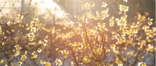 竹山县图书馆本周书单2024年4月15日：读书是一种享受，是一种快乐