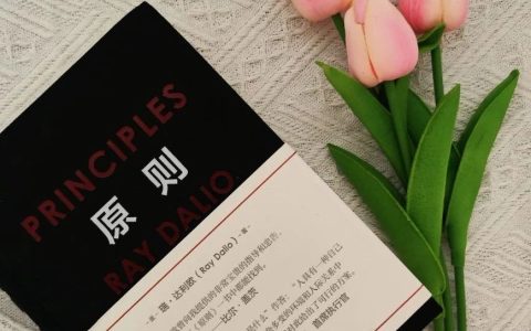 狠狠读瑞·达利欧的《原则》，你就不精神内耗了