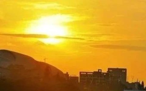 小众但具有全球视角的4本社会学好书！