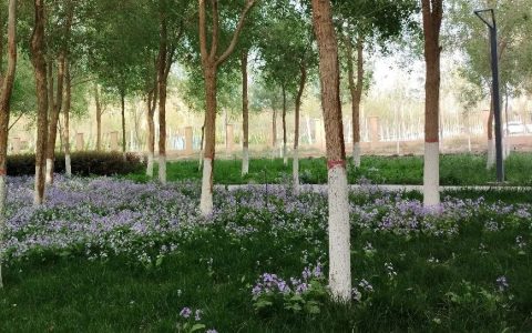 记某君琐事及小儿的成长