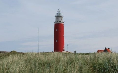 读书日买书开箱｜挑战4本大部头，也入手一批新书！