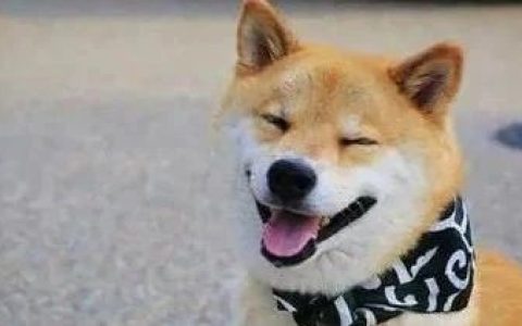 推书网整理《纽约时报》治愈类好书畅销榜Top4！