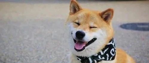 推书网整理《纽约时报》治愈类好书畅销榜Top4！