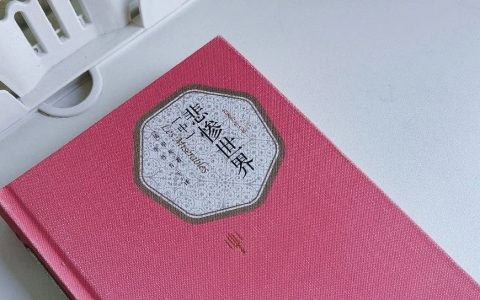 《悲惨世界》（中部）：苦难经常是后娘，但有时也是慈母