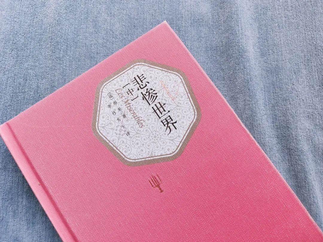 《悲惨世界》(中部):苦难经常是后娘,但有时也是慈母