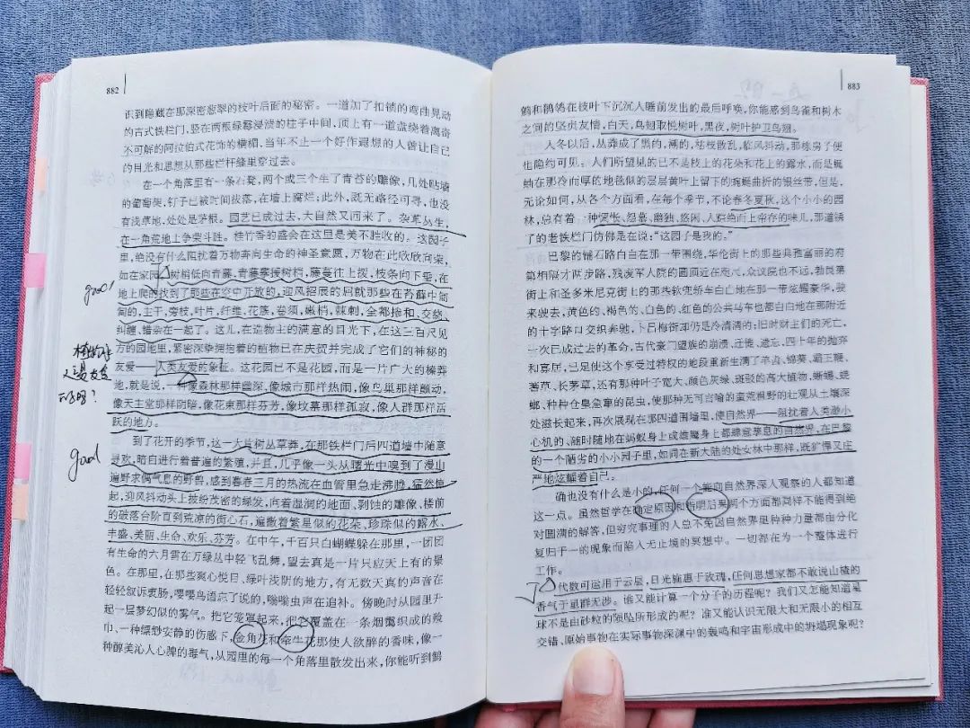 《悲惨世界》(中部):苦难经常是后娘,但有时也是慈母