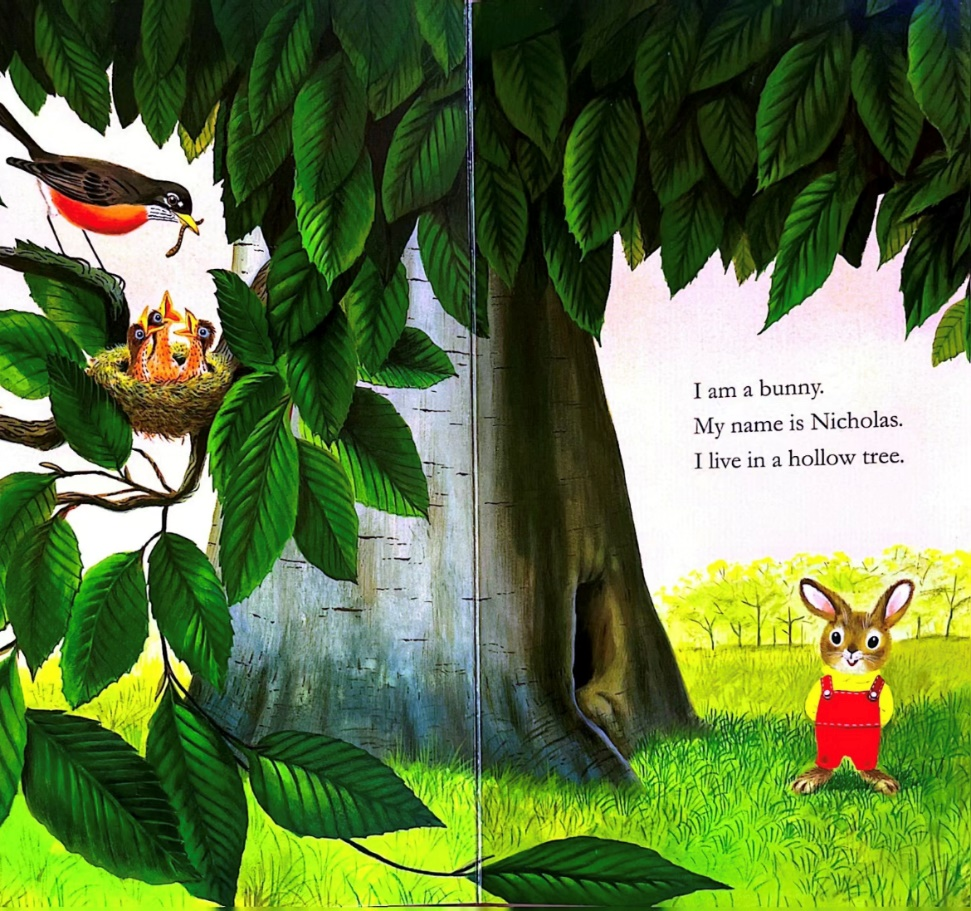 【117期】荆州市图书馆“绘声绘色”分享“我是一只兔子”的故事，不见不散~