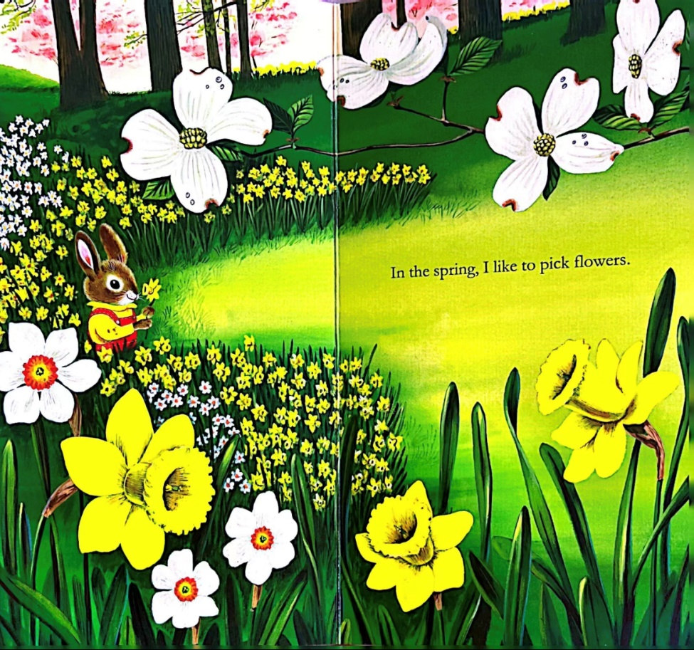 【117期】荆州市图书馆“绘声绘色”分享“我是一只兔子”的故事，不见不散~