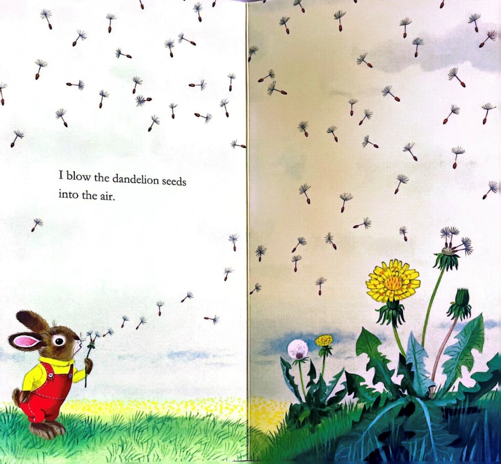 【117期】荆州市图书馆“绘声绘色”分享“我是一只兔子”的故事,不见不散~