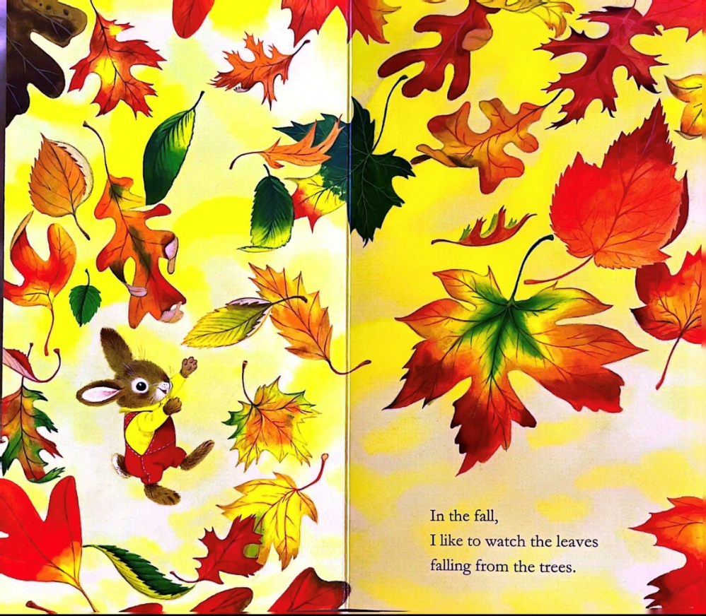 【117期】荆州市图书馆“绘声绘色”分享“我是一只兔子”的故事,不见不散~