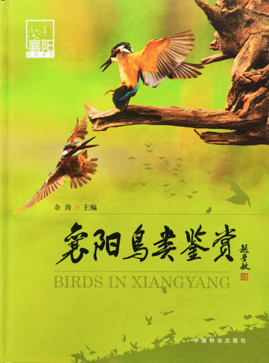 襄阳市图书馆典藏 · 地方文献精品荐读 | 第148期:布谷声中夏令新《襄阳鸟类鉴赏》