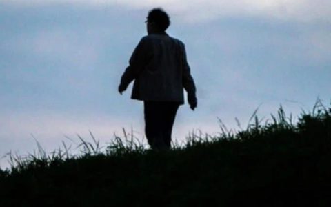 “胖猫之死”反转？这5个细节，被太多人误解