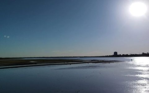 百草园诗词接龙（001）