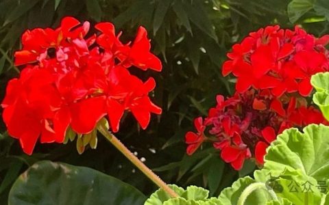 关于省属地方本科院校数字资源建设的思考