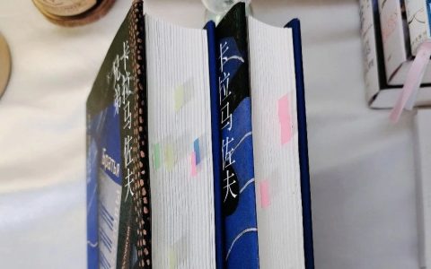 豆瓣9.6高分！《卡拉马佐夫兄弟》78万字，竟然还没写完......