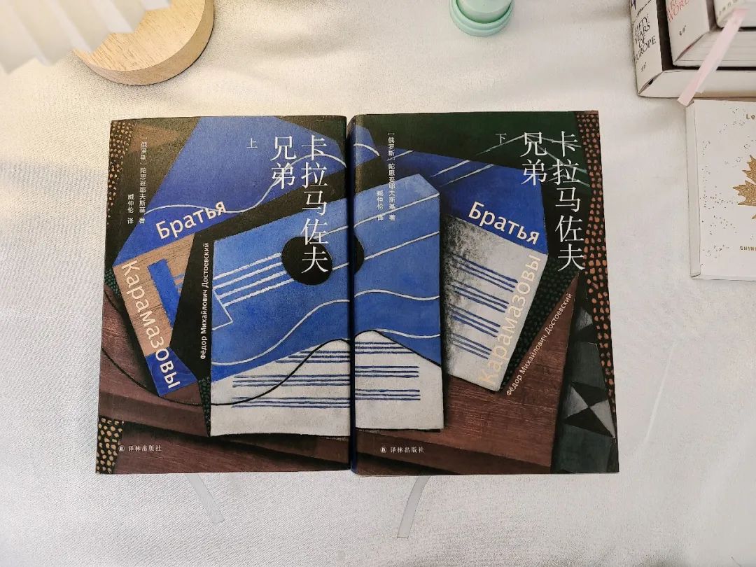 豆瓣9.6高分!《卡拉马佐夫兄弟》78万字,竟然还没写完......