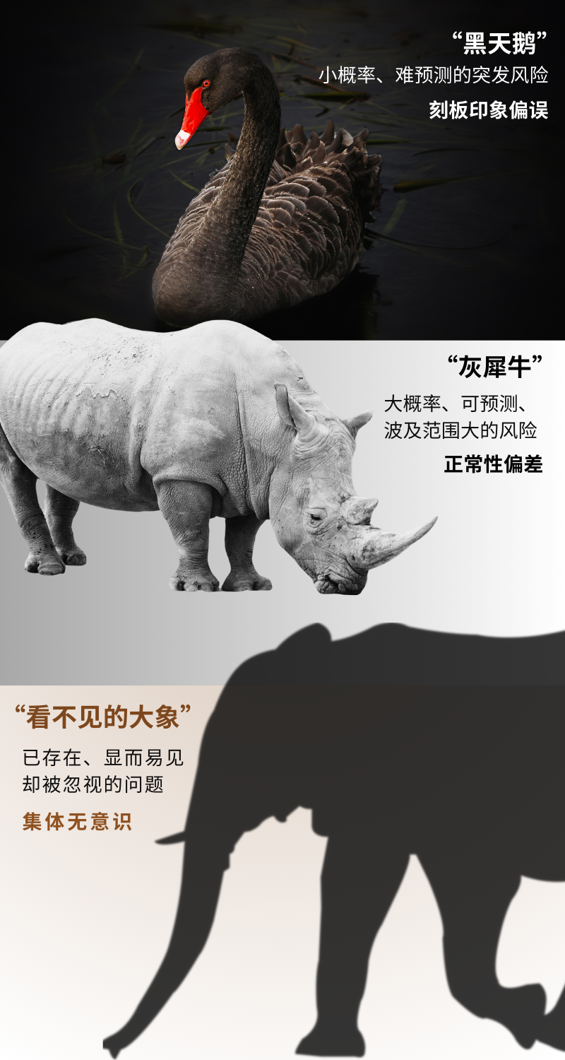 豆瓣8.9,推荐一本神书《看不见的大象》,摆脱认知陷阱、认知偏差!