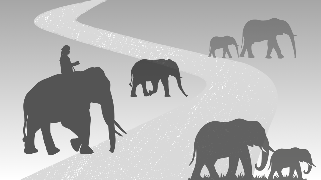 豆瓣8.9,推荐一本神书《看不见的大象》,摆脱认知陷阱、认知偏差!