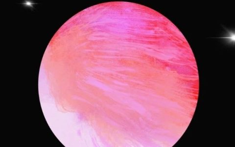 2024年6月小说榜单前三的书，你看过几本